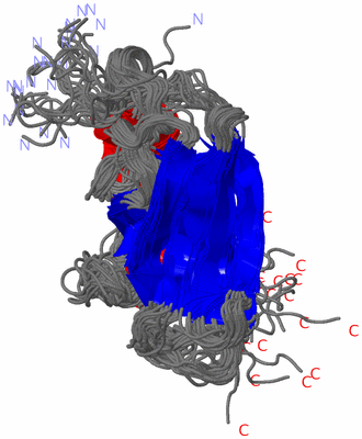 Image NMR Structure - all models