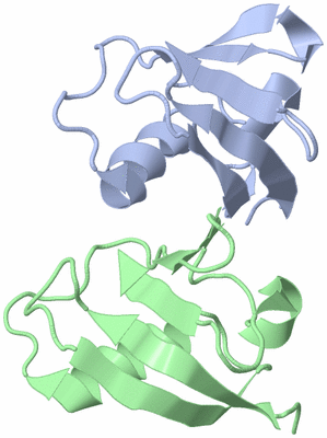 Image Asymmetric Unit