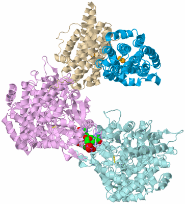 Image Asym./Biol. Unit