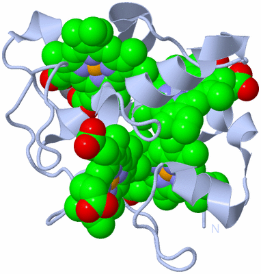 Image Biological Unit 1