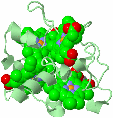 Image Biological Unit 2