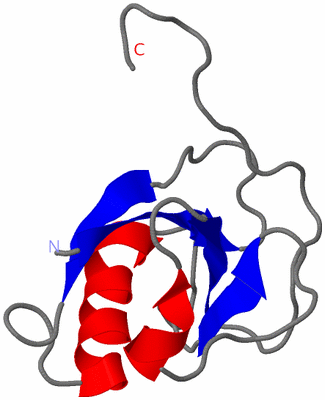 Image Asymmetric Unit