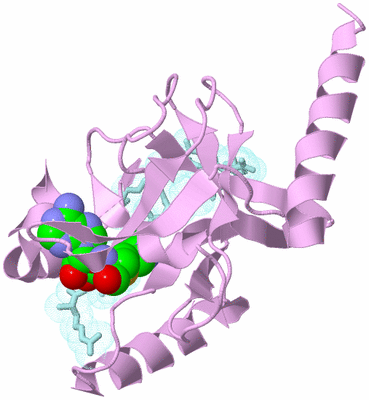 Image Biological Unit 2