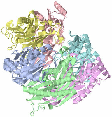 Image Biol. Unit 1 - sites