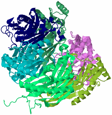 Image Biological Unit 3