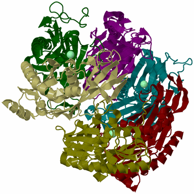 Image Biological Unit 4