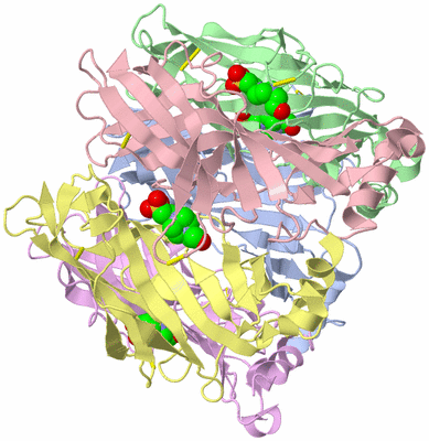 Image Asym./Biol. Unit