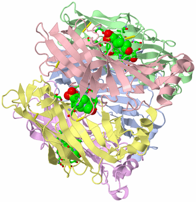 Image Asym./Biol. Unit - sites