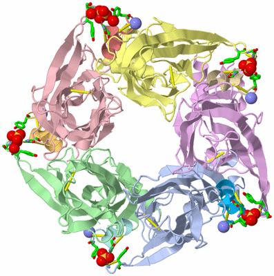 Image Asym./Biol. Unit - sites