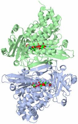 Image Asymmetric Unit