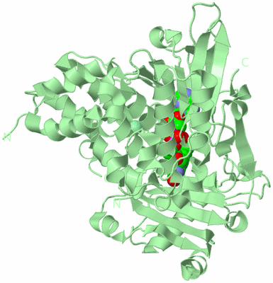Image Biological Unit 2