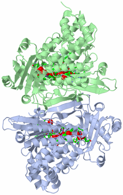 Image Asym. Unit - sites