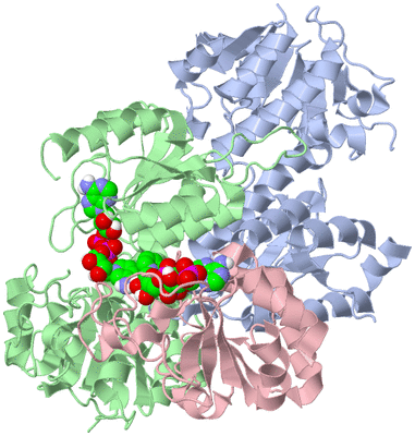 Image NMR Structure - model 1