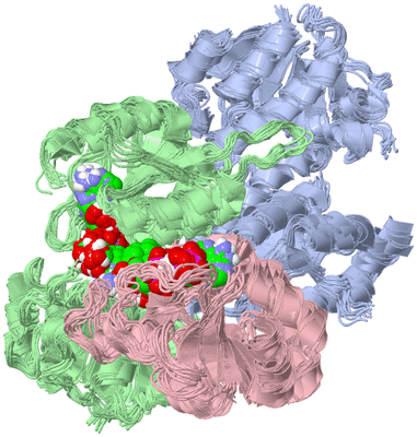 Image NMR Structure - all models