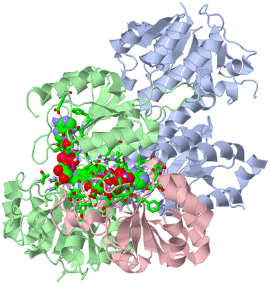 Image NMR Structure - model 1, sites