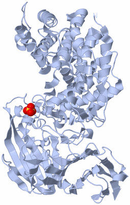 Image Biological Unit 1