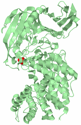 Image Biological Unit 2