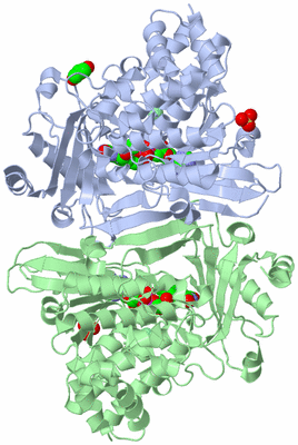 Image Asymmetric Unit
