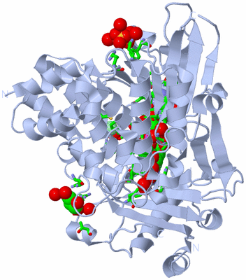 Image Biol. Unit 1 - sites