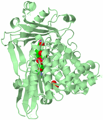Image Biological Unit 2