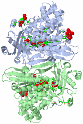 Image Asym. Unit - sites