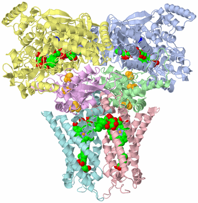 Image Asym./Biol. Unit