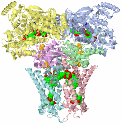 Image Asym./Biol. Unit