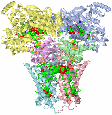 Image Asym./Biol. Unit - sites