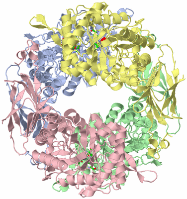 Image Biol. Unit 1 - sites