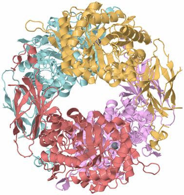 Image Biological Unit 2