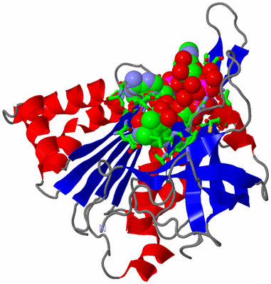 Image Asym./Biol. Unit - sites