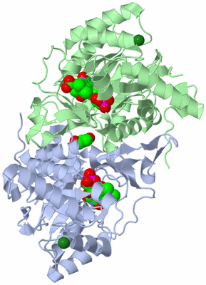 Image Asym./Biol. Unit