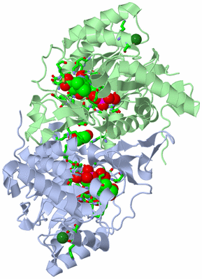 Image Asym./Biol. Unit - sites