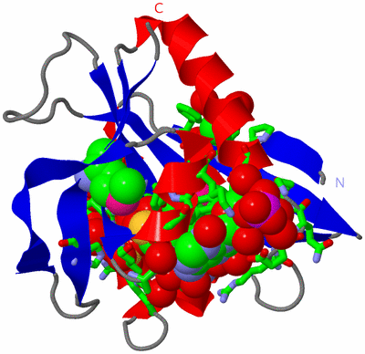 Image Asym./Biol. Unit - sites