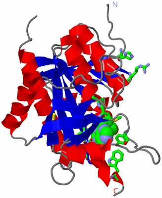 Image Asym. Unit - sites