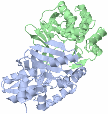 Image Asymmetric Unit