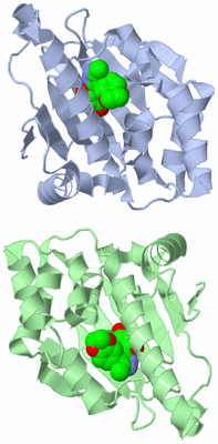 Image Asymmetric Unit