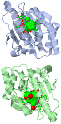 Image Asym. Unit - sites