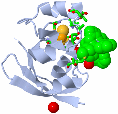 Image Biol. Unit 1 - sites