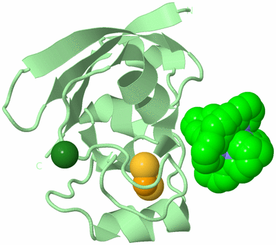 Image Biological Unit 2