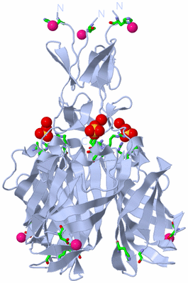 Image Biol. Unit 1 - sites