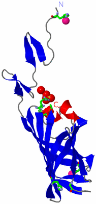 Image Asym. Unit - sites