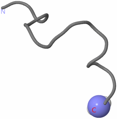 Image NMR Structure - model 1