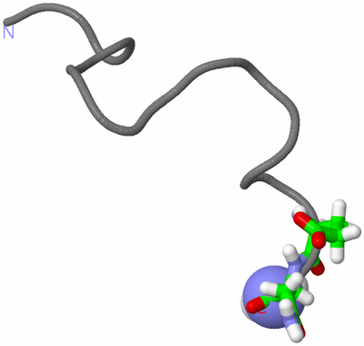 Image NMR Structure - model 1, sites