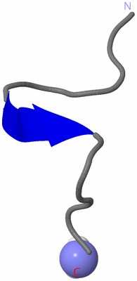 Image NMR Structure - model 1