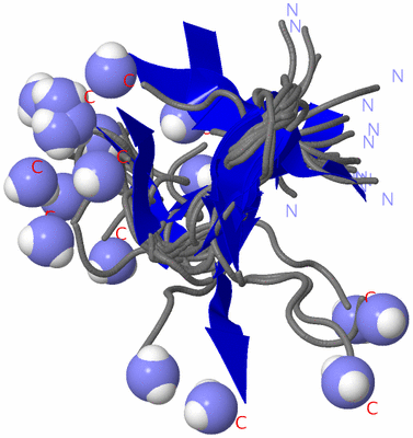 Image NMR Structure - all models