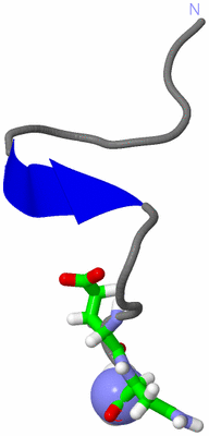 Image NMR Structure - model 1, sites
