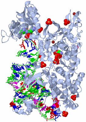 Image Biological Unit 1