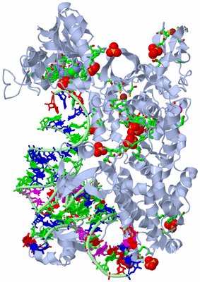 Image Biol. Unit 1 - sites