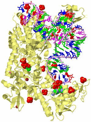 Image Biological Unit 2